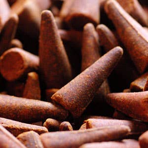 Ganesha's Garden Cinnamon Cone Incense 5 Cone Pack