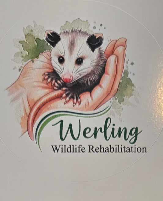 Werling Wildlife Rehabilitation Stickers (5-Pack)