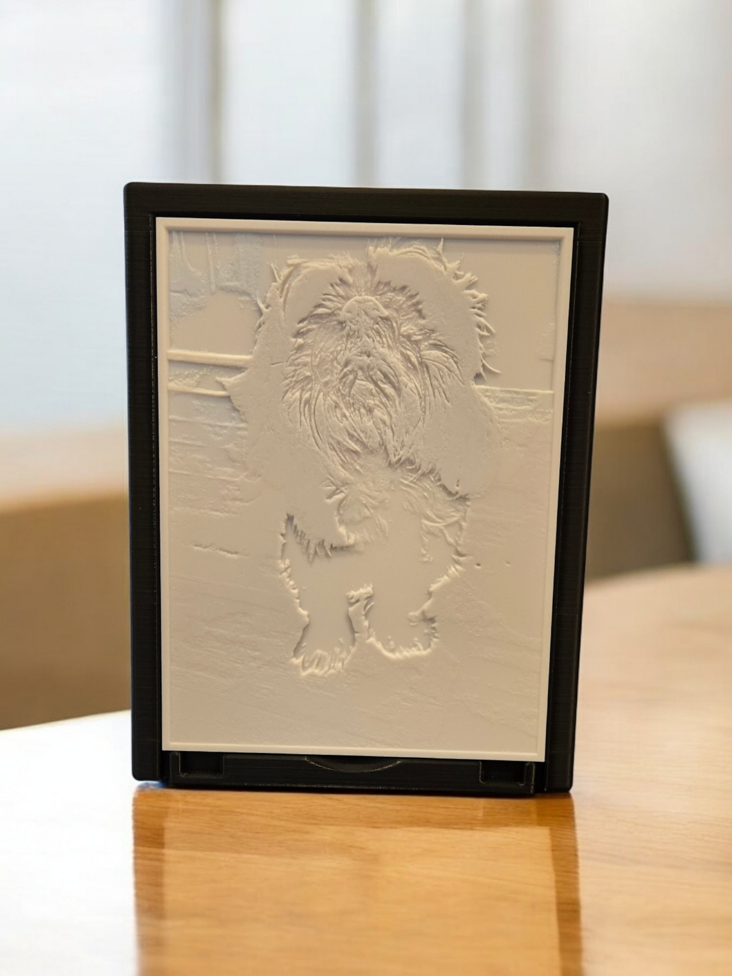 Custom Lithophane w/Frame