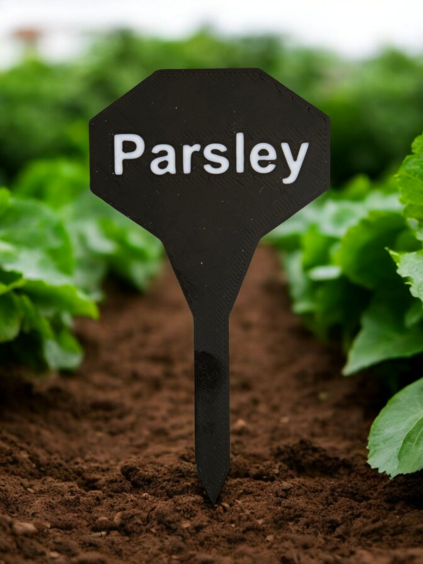 Garden Stakes (Vegetables, Flowers, Spices)