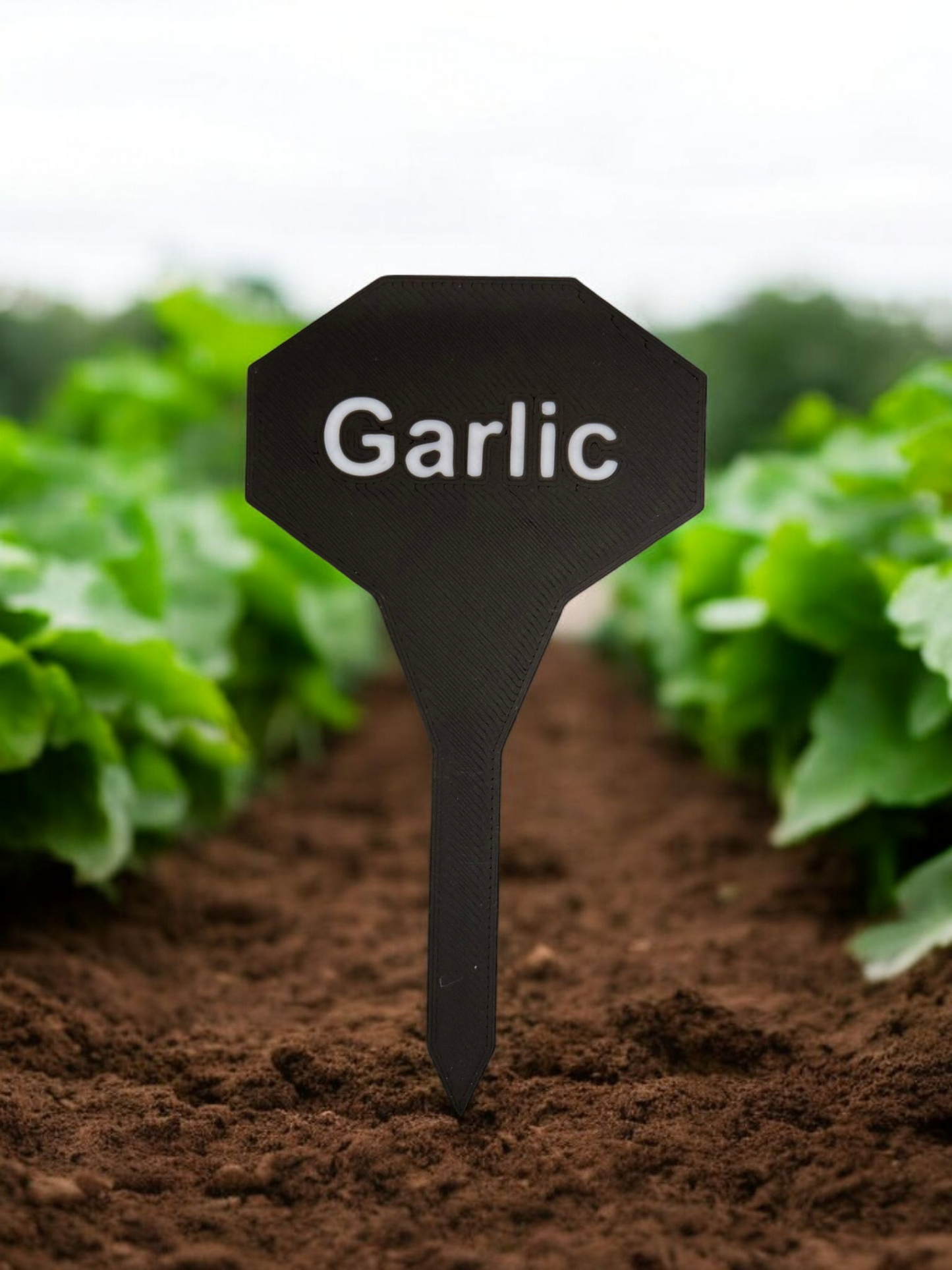 Garden Stakes (Vegetables, Flowers, Spices)