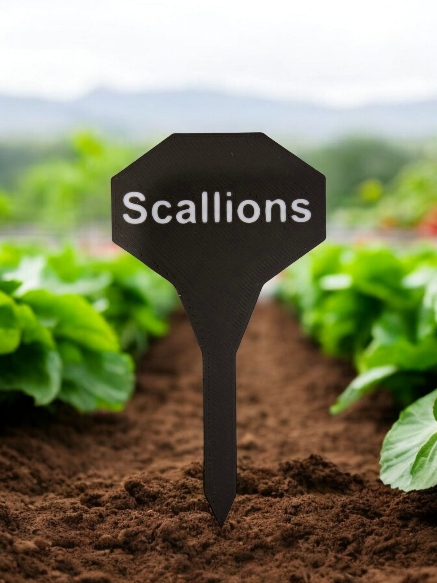 Garden Stakes (Vegetables, Flowers, Spices)