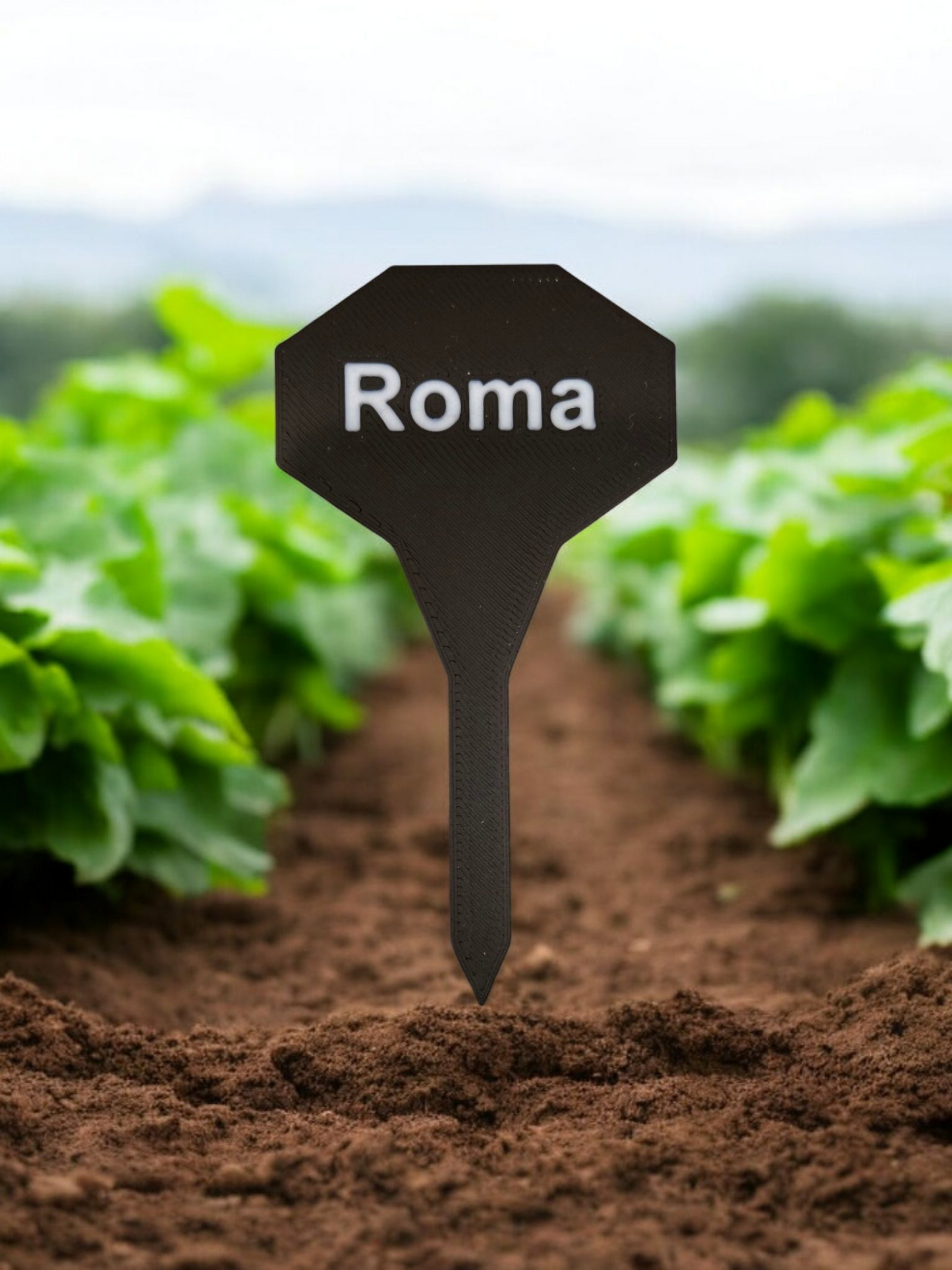 Garden Stakes (Vegetables, Flowers, Spices)