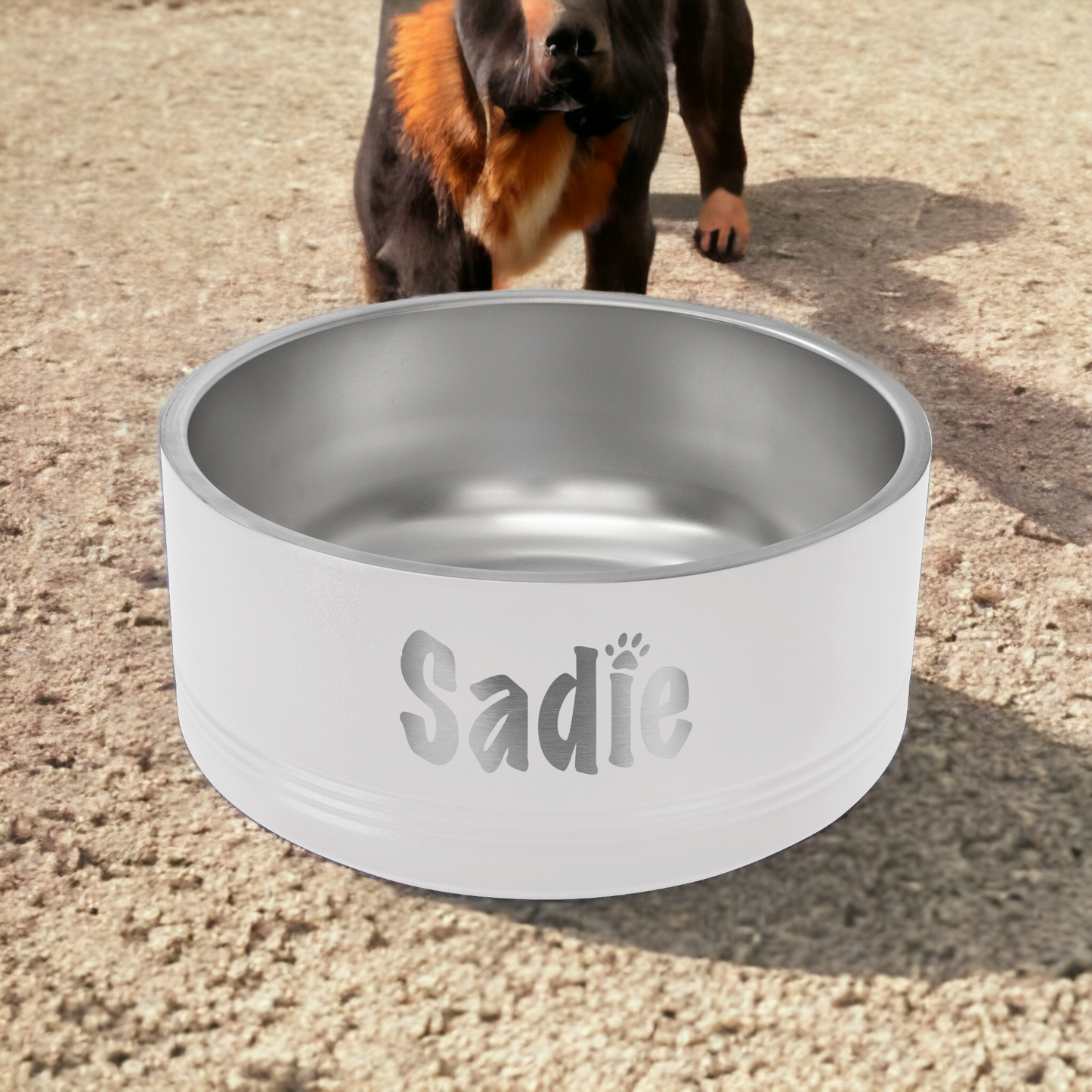 Custom Engraved Pet Bowls