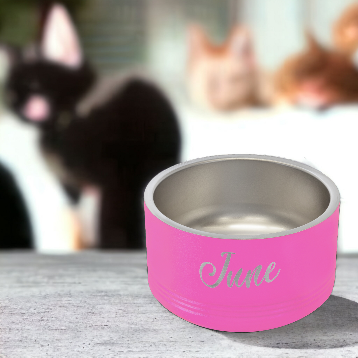 Custom Engraved Pet Bowls