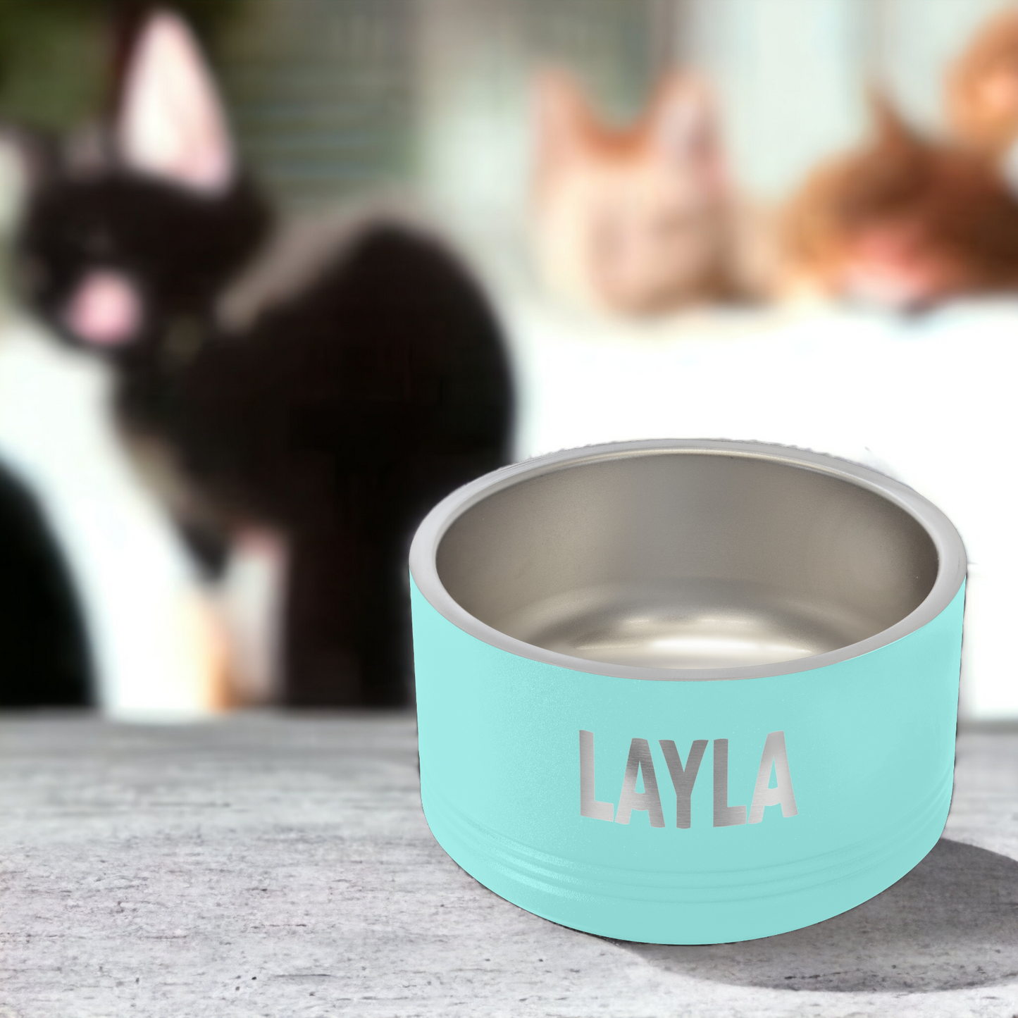 Custom Engraved Pet Bowls