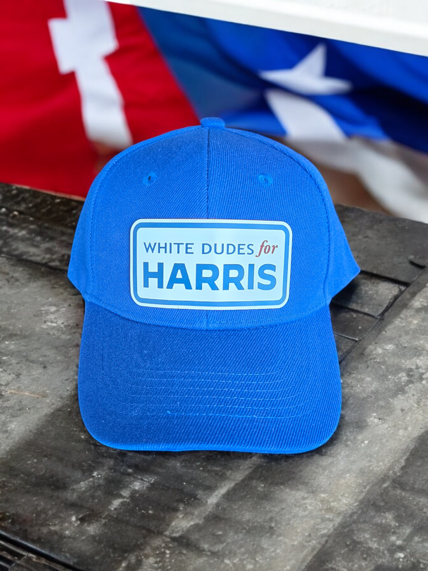 "White Dudes for HARRIS" Dad Cap