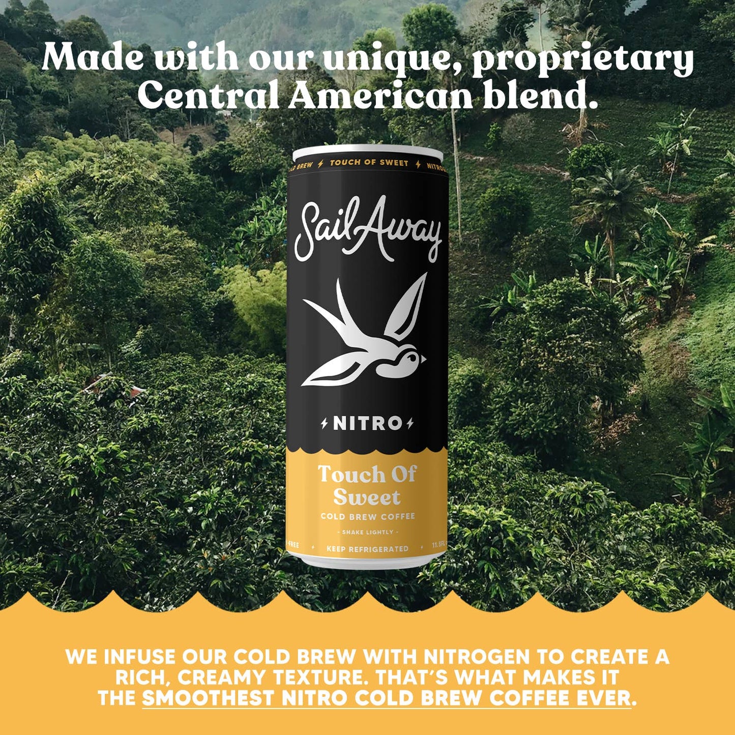 Cold Brew Coffee - Touch of Sweet 4-Pack