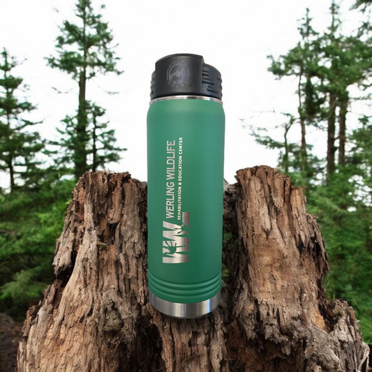 Werling Wildlife Rehabilitation 20oz Green Bottle